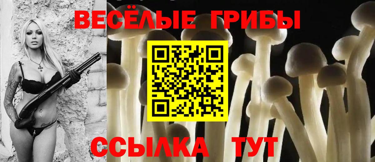 Сатка  Галлюциногенные грибы ЛСД  Вход с VPN  Псилоцибиновые грибы мухоморы 